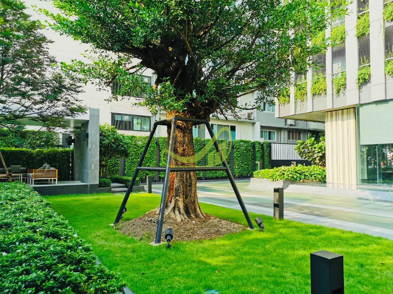 RhythmEkkamai_๒๓๐๕๒๓_18